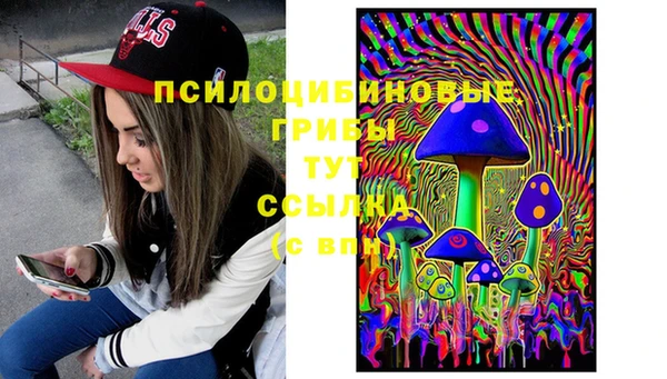 прущие крисы Новодвинск
