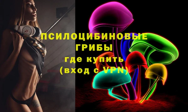 дживик Алзамай