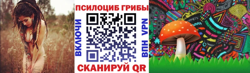 Псилоцибиновые грибы Magic Shrooms  где продают   Апрелевка 