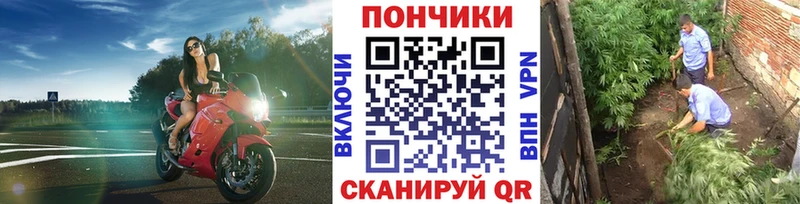 ссылка на мегу ссылка  Апрелевка  МАРИХУАНА MAZAR 